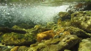 Река. Журчание воды. Релаксация. 3 часа покоя. Подводный мир. Красота. (10.19г.) Семья Бровченко.