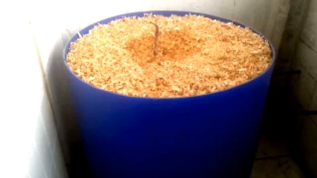 Посадка винограда на балконе восьмого этажа ч.1 смотреть онлайн