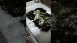 Simple DIY repair of bosch GBH 4-32 dfr