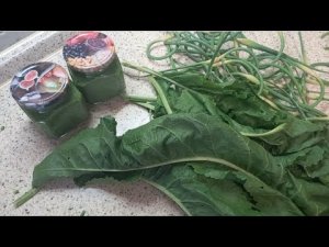 Паста из листьев хрена и чеснока [Mb3NGD9-Ox4]