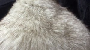 Шикарная шуба из песца