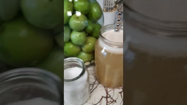 Квашеные зелёные помидоры!