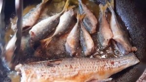 Кефаль и Ставрида. Рецепты из Черноморской рыбы. Тартар из кефали.Засолка ставриды.