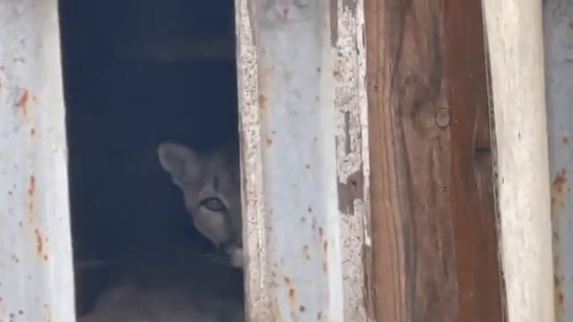 ???????.1_ смотреть онлайн