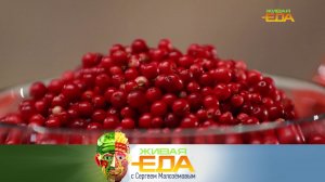 Брусника как лекарство, ценность карпа и свойства домашней молочки на закваске | «Живая еда» на НТВ