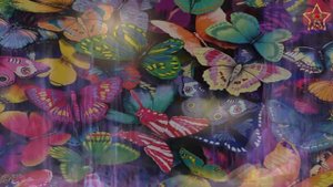 "Мир такой цветной" (О.Плотникова) - поют "Самые Небесамые" (младшие)