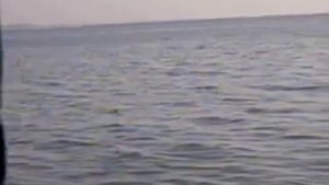 Рыбалка на Черном море на барабульку и кефаль