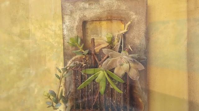 (#shorts) GARDEN TOUR ? Fairy Decor ? Succulents, Begonia & Camellia Flowers/ EdenMaker смотреть онлайн