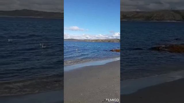 Баренцево море.