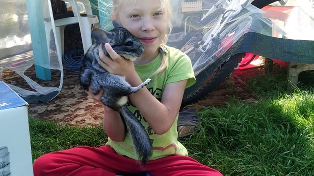  смотреть онлайн