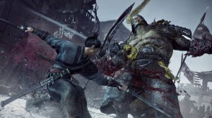 Wo Long Fallen Dynasty - Лэй Ши