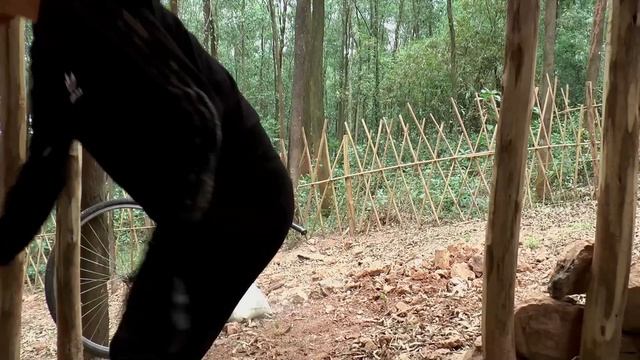 60 Days Building a New Life, Animal Farm Care, Harvest Crops Going to Market To Sell | My Free Life