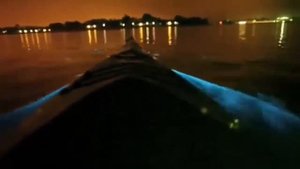 Пляж со светящимся планктоном на Мальдивах, остров Ваадху