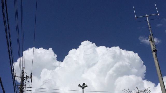 Jesu,Joy of Man’s Desiring on YAMAHA PSS-A50 with YAMAHA AG06 Hall Reverb смотреть онлайн