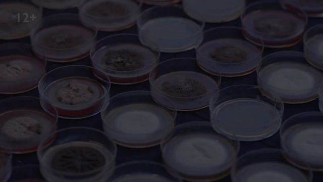 КРАСКА СПРЯТАЛА ШЕДЕВР?! АНТИСЕПТИК ДЛЯ КАРТИНЫ! | Наука Просто смотреть онлайн