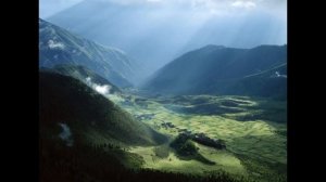 ▬ Oliver Shanti & Friend Buddha and Bonsai Vol. 3.mp4