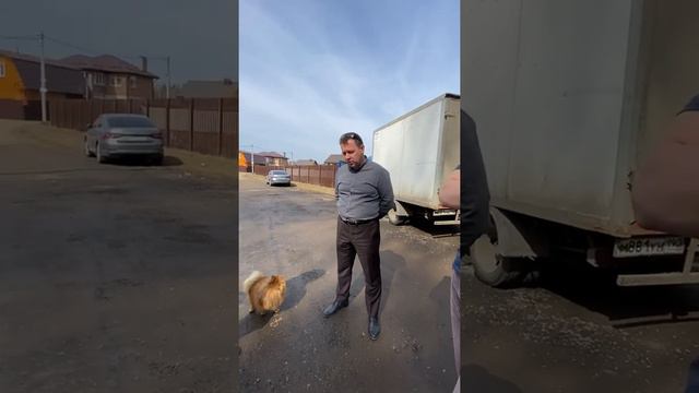 Разговор с представителем УК смотреть онлайн