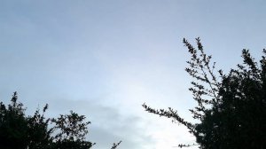 Kenny Barron Trio, Denver (2023)