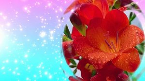 Футаж. Цветочный фон 149
