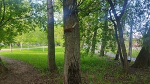 VID_20230511_154720.mp4