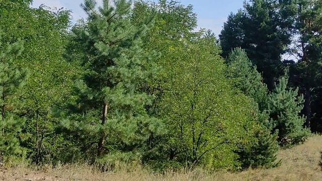 4 октября народный праздник Кондратьев день. Главные запреты дня. Что нужно сделать. Именинники дня