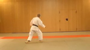Taikyoku Nidan - video du Kata Préparatoire - Karaté style Shotokan