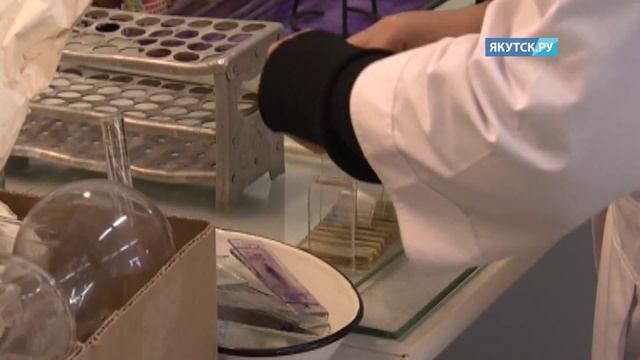 Научная сенсация. Ученые близки к тому, чтобы создать «эликсир молодости»