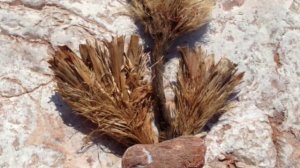 Черногория на пляже Адриатического моря 1