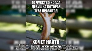 О чем говорить с парнем, мужчиной при знакомстве, на первой встрече: темы и вопросы для разговора,.