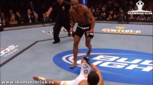 Классификация стоек в боевых видов единоборств.