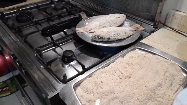 ليه اشوي السمك بره لما ااقدر اشويه?? في البيت. تعالوا بسرعه شوفوا ايه آل بيحصل