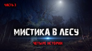Мистика в лесу (4в1) Выпуск №3.