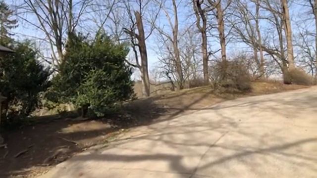 Олени, медведи, замок! :) смотреть онлайн