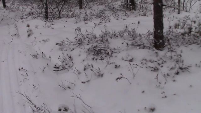 На буране по лесу, почти без снега к балагану смотреть онлайн