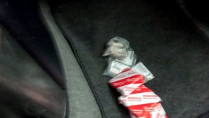 Отдал прадо на замену подшипников в раздатке.