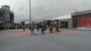 Показательное выступление ВДВ с приемами рукопашного боя