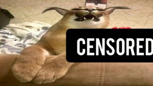 рецепт пельменей от шлёпы rytp