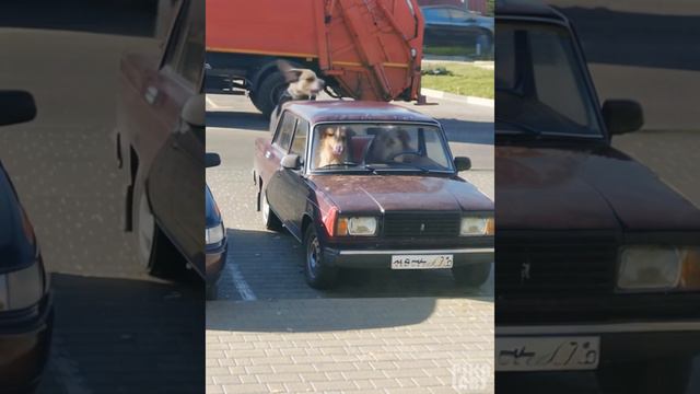 Третий лишний 😊😊😊