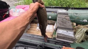 РЫБАЛКА НА ГОРНОЙ РЕКЕ "ИМАН" ЕЛЕ НОГИ С НЕЁ УНЁС. ОДИН В ТАЙГЕ.