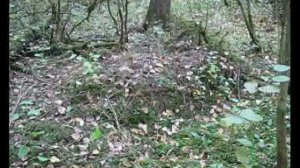 Неопознанные могилы погибших солдат