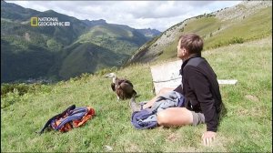 Pyrenees