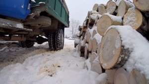 Газ 53 по снегу, оживление после простоя.