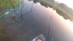 Рыбалка в Беларуси. Рыбалка на белом береге в Бобруйске.Очень красивое место для отдыхаи рыбалки.