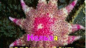 караоке валенки