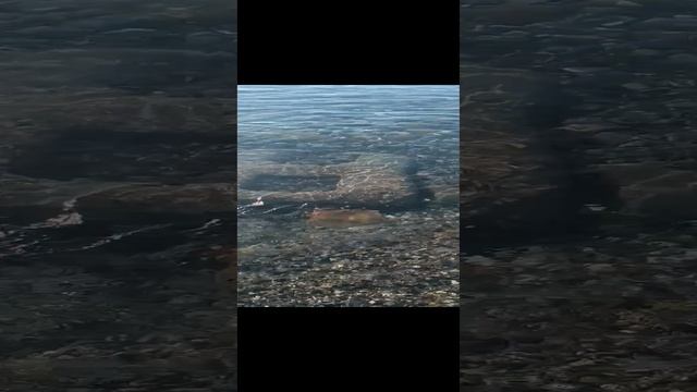 море в октябре?