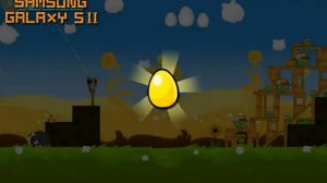 Angry Birds Seasons : Summer Pignic, hidden Galaxy S 2 golden egg