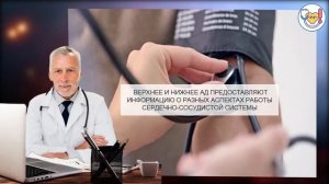 В ЧЕМ РАЗНИЦА МЕЖДУ ВЕРХНИМ И НИЖНИМ АРТЕРИАЛЬНЫМ ДАВЛЕНИЕМ?
