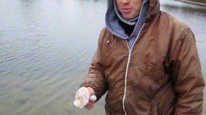 Ловля щуки на жерлицы осенью