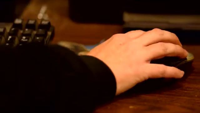 "Zooпарк": "Рождение жирафа" смотреть онлайн