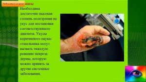 Укус паука отшельника диагноз лечение